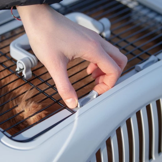 Переноска Ferplast ATLAS DELUXE OPEN 20 с ковриком и поилкой для кошек и собак