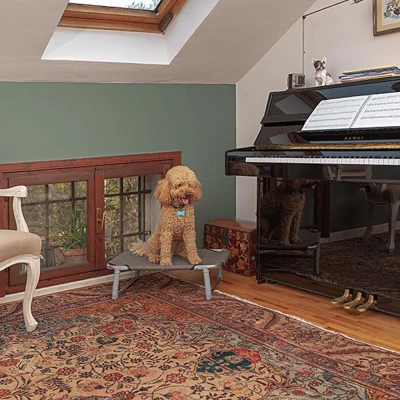 Раскладушка Ferplast DREAM 60 для собак