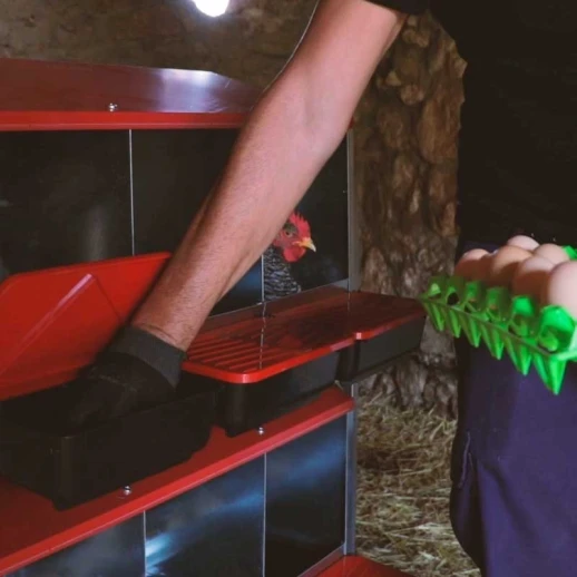 Гнездо для кур-несушек Copele Platinum 2 секции