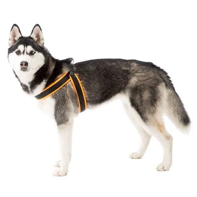 Шлейка Ferplast AGILA FLUO 6 нейлоновая с мягкой подкладкой оранжевая