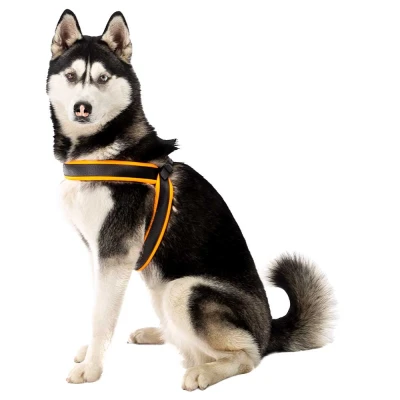 Шлейка Ferplast AGILA FLUO 6 нейлоновая с мягкой подкладкой оранжевая