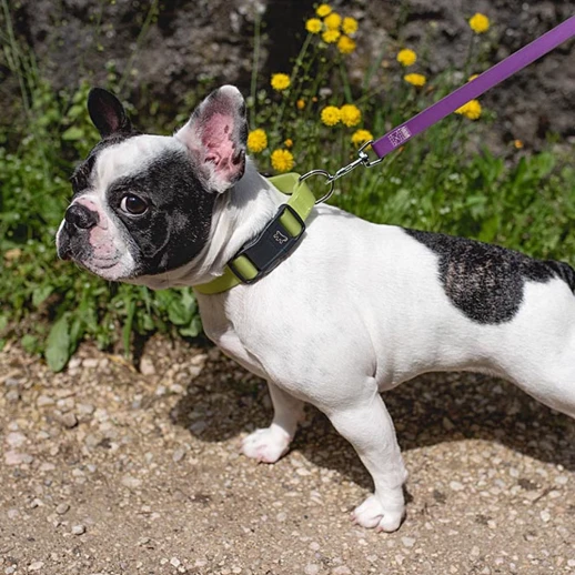 Ошейник Ferplast EVOLUTION C16/32 с ПВХ покрытием и магнитной застежкой серый