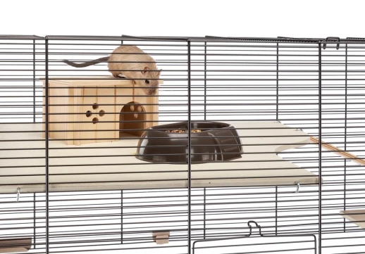 Клетка Ferplast KARAT 100 для мышей и хомяков