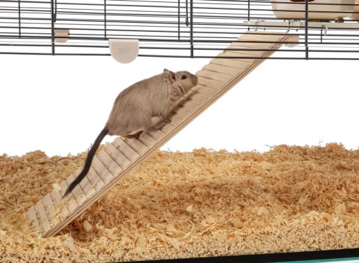 Клетка Ferplast KARAT 100 для мышей и хомяков