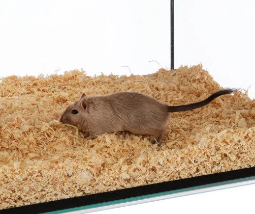 Клетка Ferplast KARAT 100 для мышей и хомяков