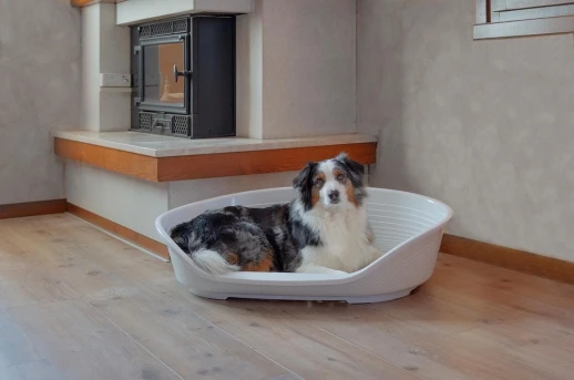 Лежак для собак Ferplast SIESTA DELUXE 10 пластиковый черный