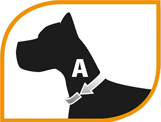 Ошейник строгий Ferplast CHROME CA6002 металл 46-62 см