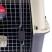 Переноска Pet Choice Departures Range 100х67х75 см, стандарт IATA, с колесами