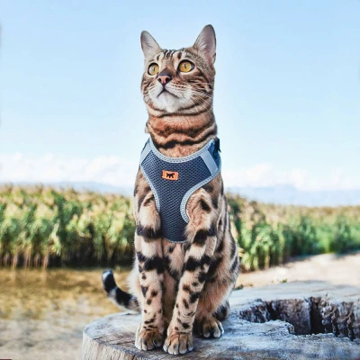 Шлейка Ferplast NIKITA XS из дышащего нейлона чёрная