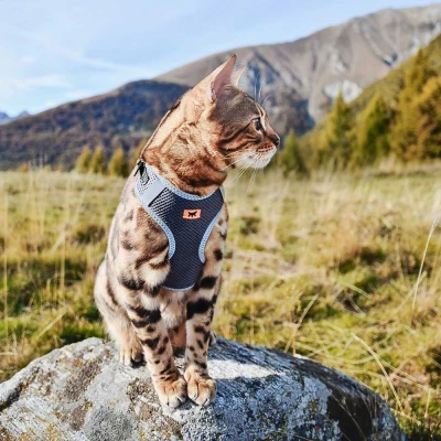 Шлейка Ferplast NIKITA XS из дышащего нейлона чёрная