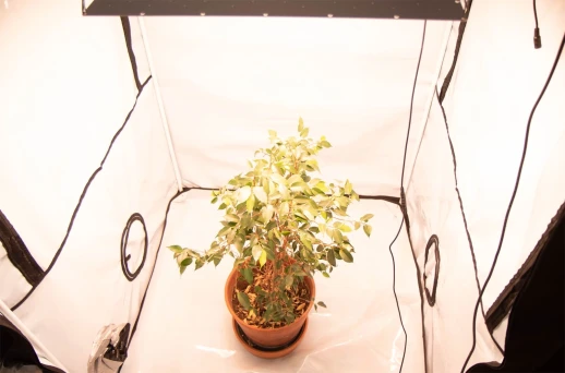 УЦЕНКА 120.58*28 Quantum board Samsung lm281b+pro 3500K + 660 nm 2835