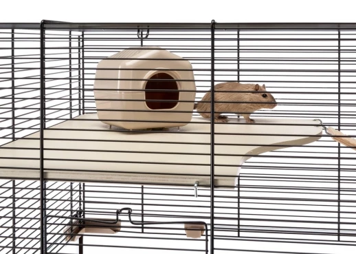 Клетка Ferplast KARAT 80 для мышей и хомяков
