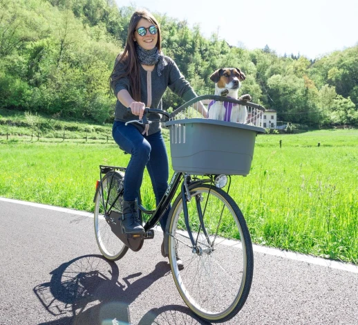 Контейнер Ferplast ATLAS BIKE 20 RAPID для перевозки животных на велосипеде.