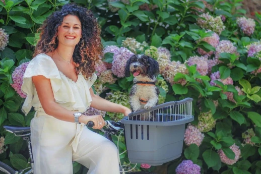 Контейнер Ferplast ATLAS BIKE 20 RAPID для перевозки животных на велосипеде.