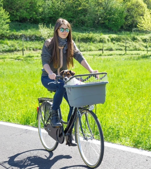 Контейнер Ferplast ATLAS BIKE 20 RAPID для перевозки животных на велосипеде.