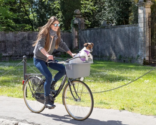 Контейнер Ferplast ATLAS BIKE 20 RAPID для перевозки животных на велосипеде.