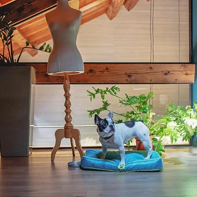 Подушка Ferplast POLO 65 черная со съемным непромокаемым чехлом нейлон