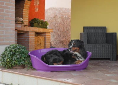 Лежак для собак Ferplast SIESTA DELUXE 12 пластиковый черный