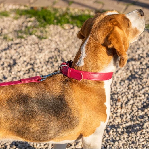 Поводок Ferplast VOGUE FLAT G20/120 из натуральной кожи для собак желтый