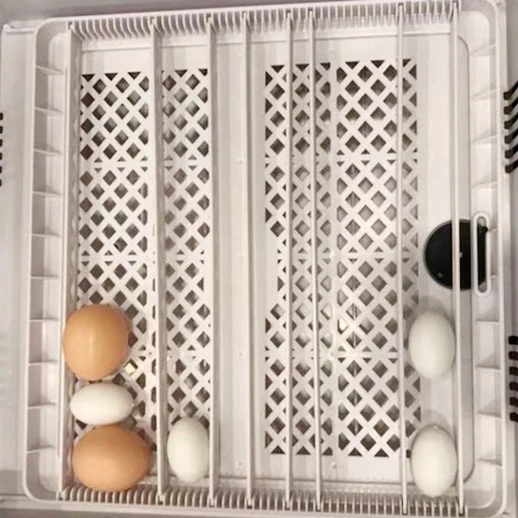 Инкубатор HHD 36