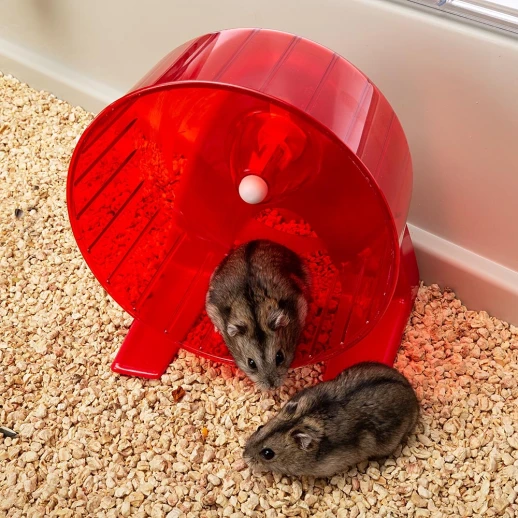 Клетка Ferplast MAXI DUNA MULTY для кроликов морских свинок и хомяков