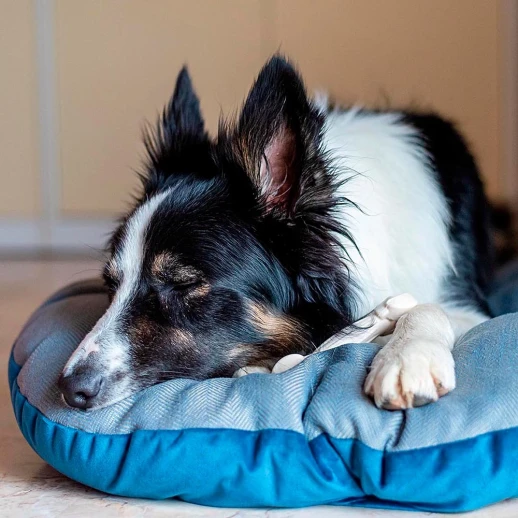 Подушка Ferplast STUART 78/8 коричневая