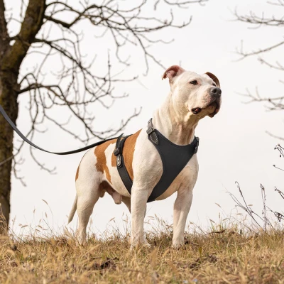 Шлейка Ferplast GIOTTO LUXOR L-XL кожаная с микрорегулировкой чёрная