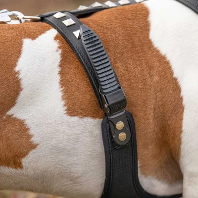 Шлейка Ferplast GIOTTO LUXOR L-XL кожаная с микрорегулировкой чёрная