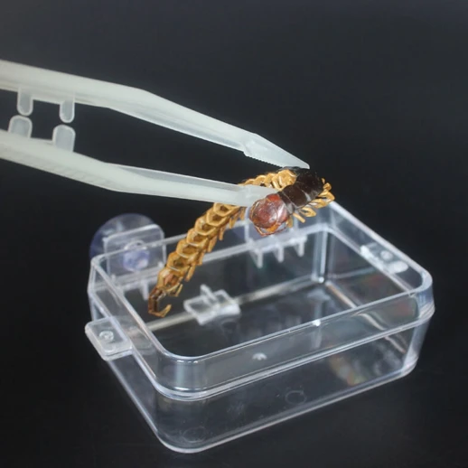 Пинцет люминесцентный прямой 18 см для террариума