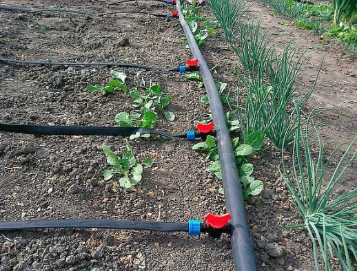 Кран стартовый для капельной ленты 16 мм с резиновым уплотнителем