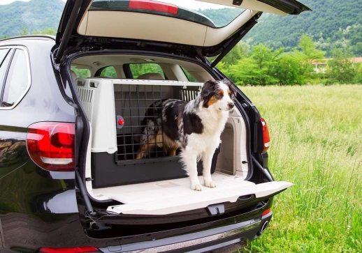 Контейнер в а/м Ferplast ATLAS CAR 100 для собак