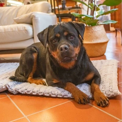 Мягкая подстилка Ferplast VANILLA 105 для животных