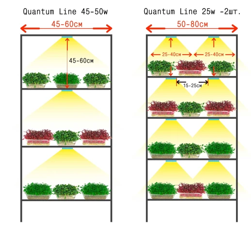 Комплект из двух Quantum line 30 см