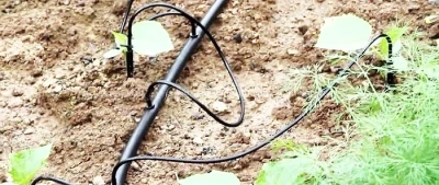 Капельница стрела прямая с поводком и старт конектором