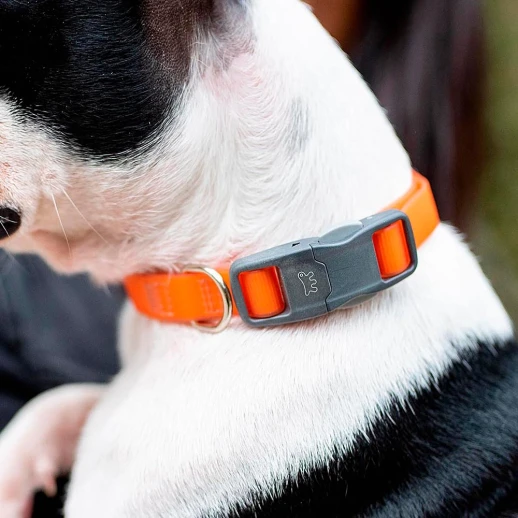 Ошейник Ferplast EVOLUTION C25/56 с ПВХ покрытием и магнитной застежкой зелёный