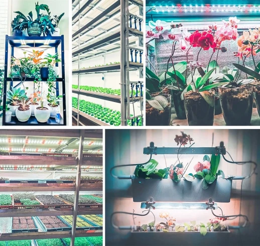 Комплект Quantum line 30 см