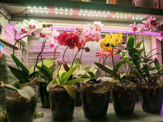 Комплект Quantum line 30 см