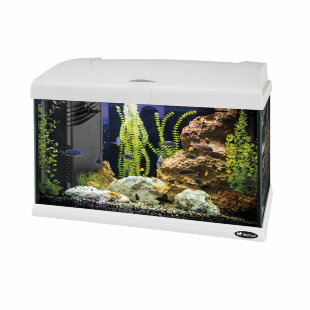 Стеклянный аквариум CAPRI 50 LED,со светодиодной лампой, внутренним фильтром и нагревателем, белый, 40 л
