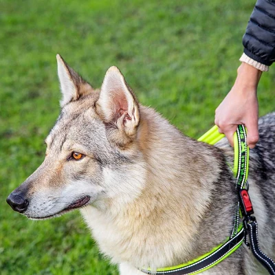 Шлейка Ferplast SPORT DOG L нейлоновая с мягкой подкладкой жёлтая