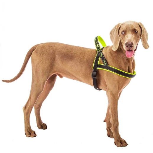 Шлейка Ferplast SPORT DOG L нейлоновая с мягкой подкладкой жёлтая