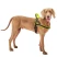 Шлейка Ferplast SPORT DOG L нейлоновая с мягкой подкладкой жёлтая