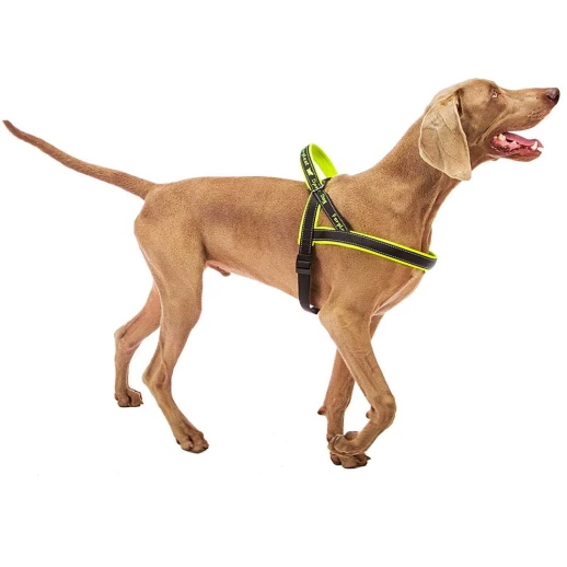 Шлейка Ferplast SPORT DOG L нейлоновая с мягкой подкладкой жёлтая