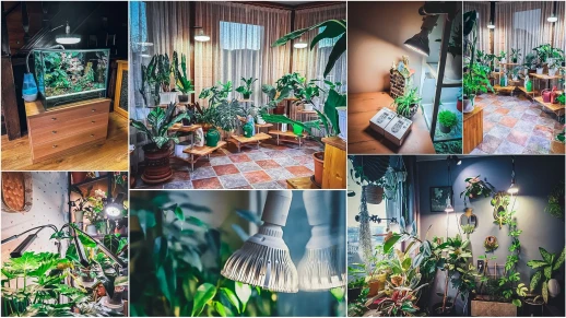 Фитолампа светодиодная Е27 25W Биколор Комфорт 5000k + 660nm