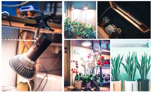 Фитолампа светодиодная Е27 25W Биколор Комфорт 5000k + 660nm