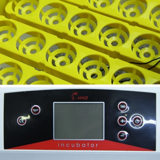 Инкубатор HHD 42A