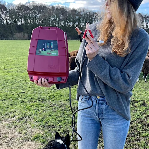 Электропастух OLLI 450 B PLUS от аккумулятора