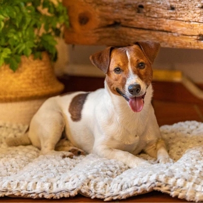 Мягкая подстилка Ferplast VANILLA 75 для животных