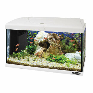 Стеклянный аквариум CAPRI 60 LED со светодиодной лампой, внутренним фильтром и нагревателем белый, 60 л