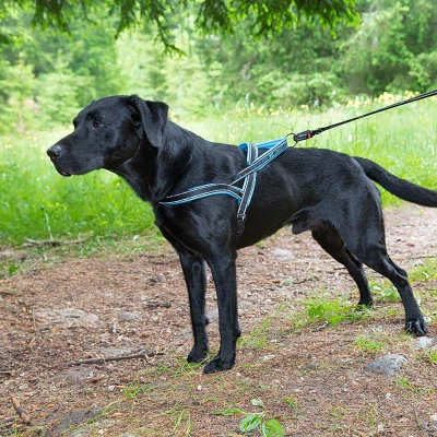 Шлейка Ferplast SPORT DOG L нейлоновая с мягкой подкладкой синяя