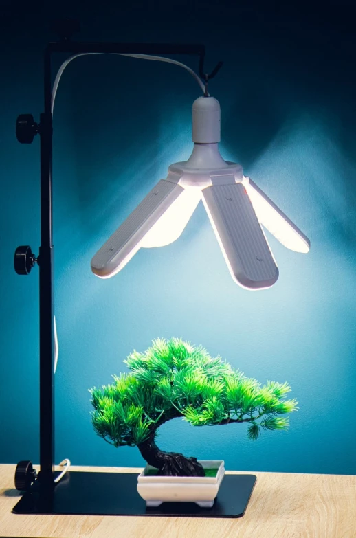 Фитолампа Е27 Лепесток *4